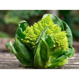 Romanesco