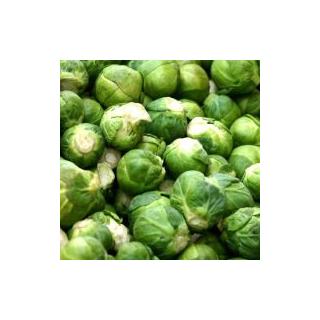 Rosenkohl