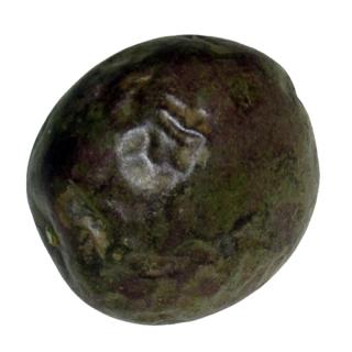 Passionsfrucht violett Abverkauf