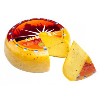 Aurora Gouda Oriental