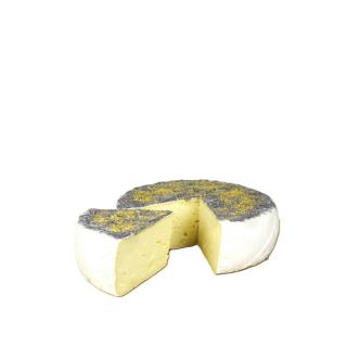 Tomme Fleurie Blüte