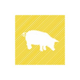 Schweine-Rücken-Steaks 2 Stk ca.350g mariniert